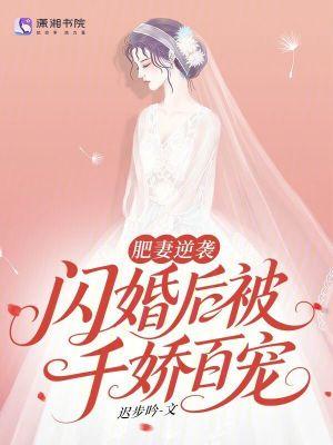肥妻难挡闪婚老公天价宠冷烈