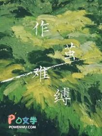我真是情痴啊全文免费阅读